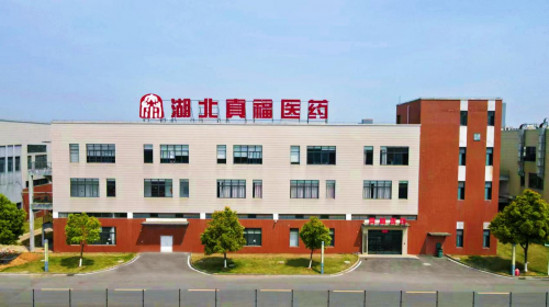 湖北真福医药：以创新为动力，打造心脑血管医药领域杰出品牌(图1)