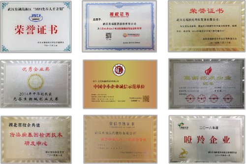 湖北真福医药：以创新为动力，打造心脑血管医药领域杰出品牌(图3)